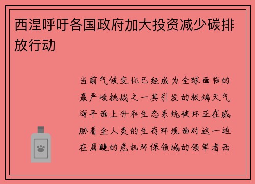 西涅呼吁各国政府加大投资减少碳排放行动
