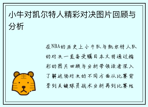 小牛对凯尔特人精彩对决图片回顾与分析