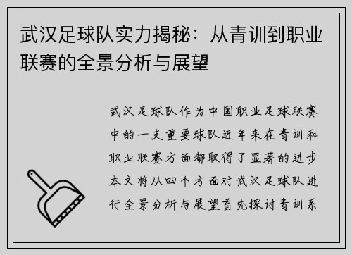 武汉足球队实力揭秘：从青训到职业联赛的全景分析与展望